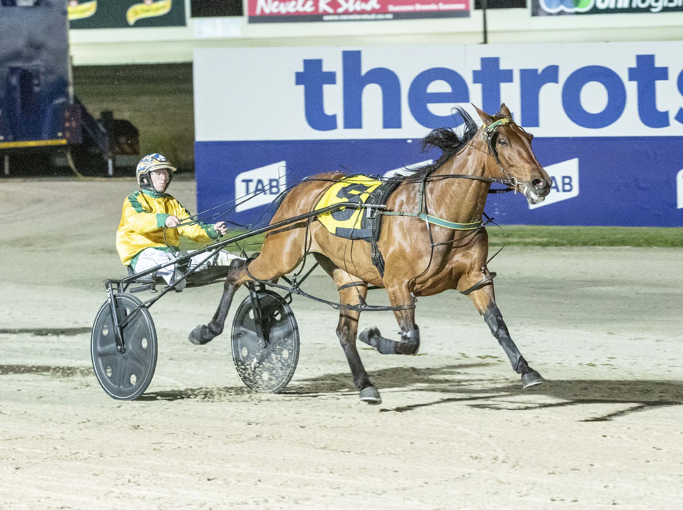 Melton trials A Delight as talented mare returns Harness Racing Victoria
